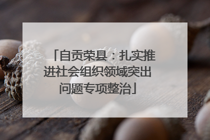 自贡荣县：扎实推进社会组织领域突出问题专项整治